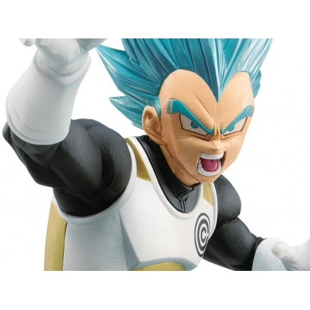 vegeta capsule