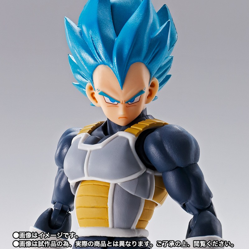 Dragon Ball Super Super Saiyan God Super Saiyan Vegeta -15th