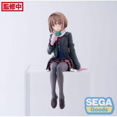 Rascal Does Not Dream of a Sister Venturing Out Kaede Azusagawa PM Perching Sega