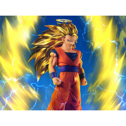 DRAGON BALL Z BLOOD OF SAIYANS-SUPER SAIYAN 3 SON GOKU-, DRAGON BALL