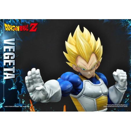 vegeta prime 1