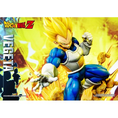 vegeta prime 1