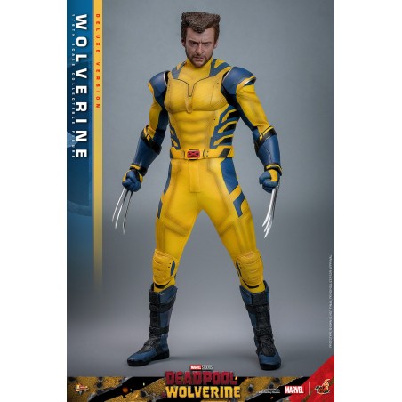 Deadpool & Wolverine Wolverine (Deluxe Version) Movie Masterpiece Hot Toys