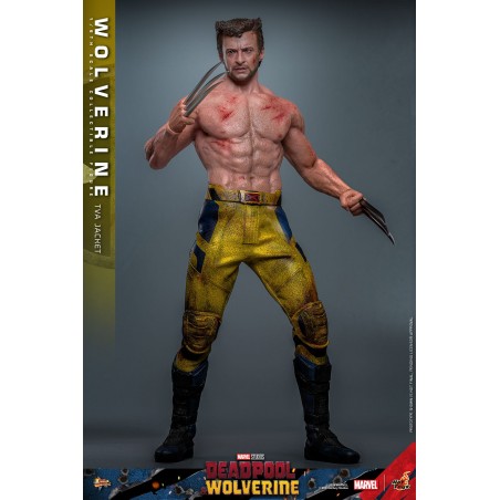 Deadpool & Wolverine Wolverine (TVA Jacket Version) Movie Masterpiece Hot Toys