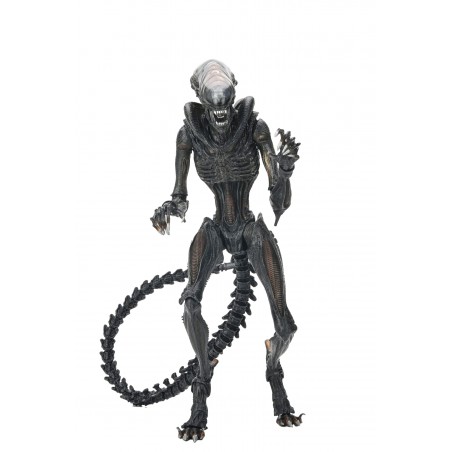 Alien: Romulus Scorched Xenomorph Ultimate NECA